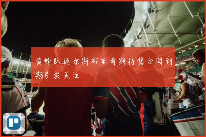 黄蜂队迈尔斯布里奇斯待售合同到期引发关注