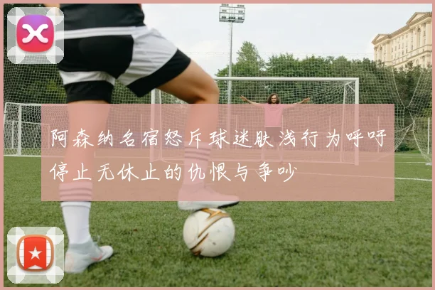 阿森纳名宿怒斥球迷肤浅行为呼吁停止无休止的仇恨与争吵