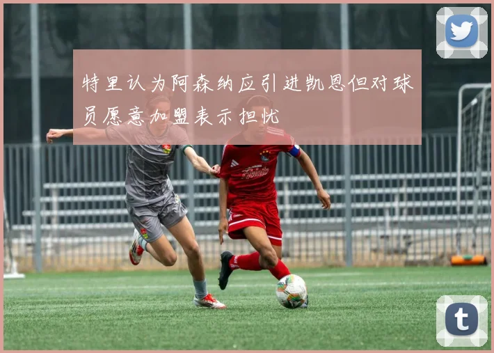 特里认为阿森纳应引进凯恩但对球员愿意加盟表示担忧